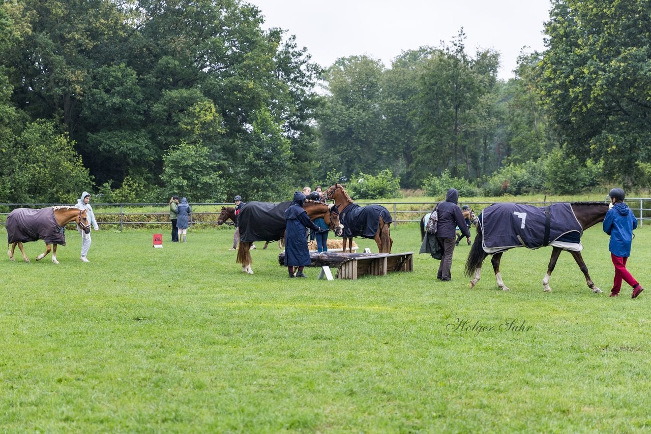 Bild 3 - Pony Akademie Turnier